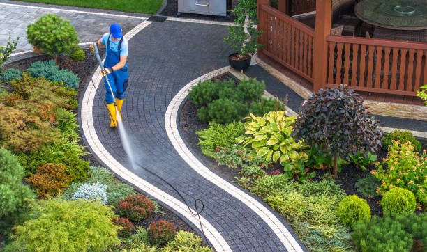 Best Pressure Washing Company Near Me  in El Jon, CA