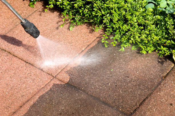 Best Pressure Washing Services for Businesses  in El Jon, CA