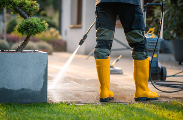 Best Concrete Pressure Washing  in El Jon, CA